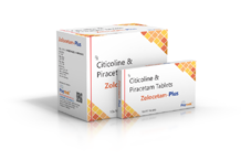 	top pharma franchise products in gujarat	Zolocetam-Plus Tab.png	